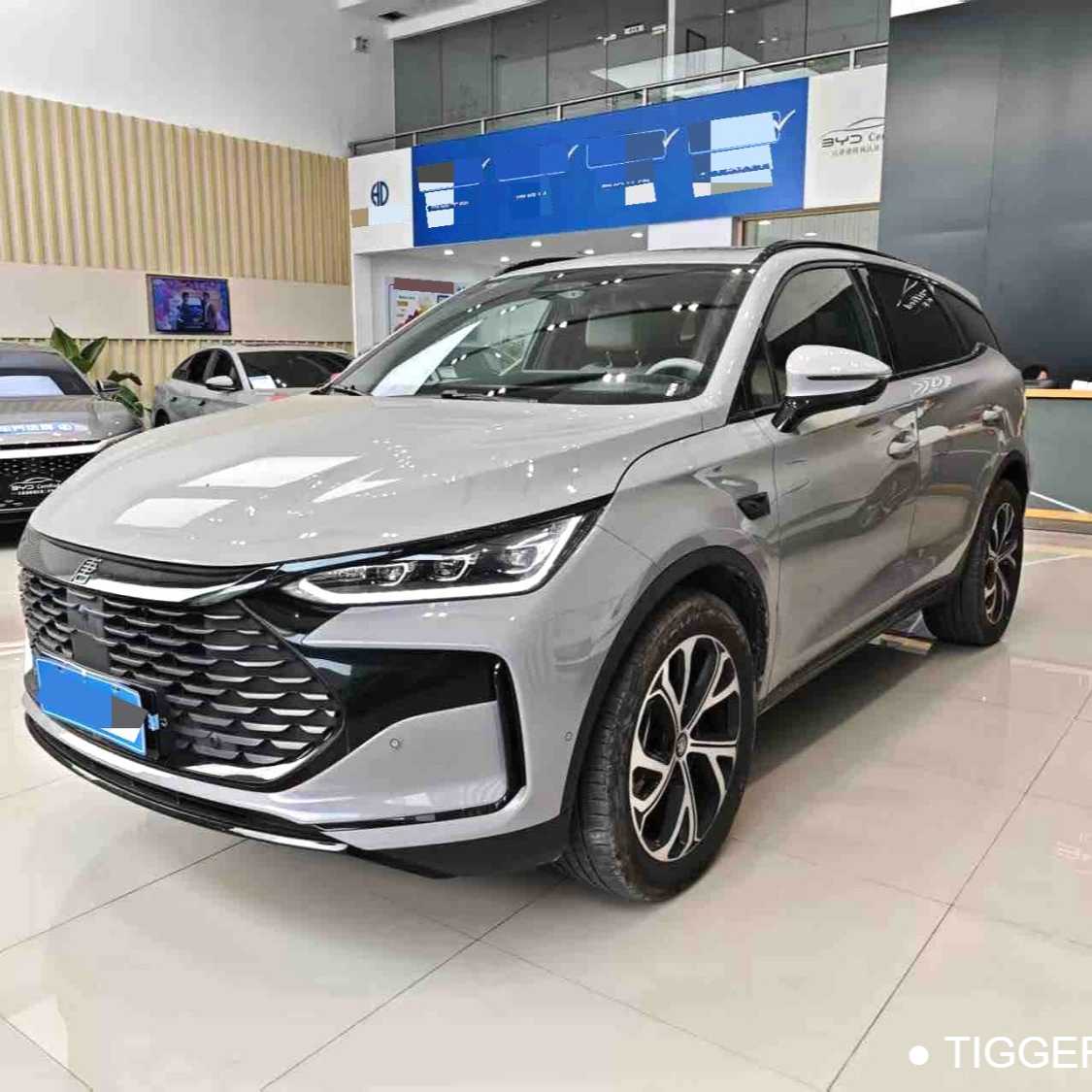 BYD Tang New Energy 2025 Intelligent driving version DM-i 115KM flagship model Used Car