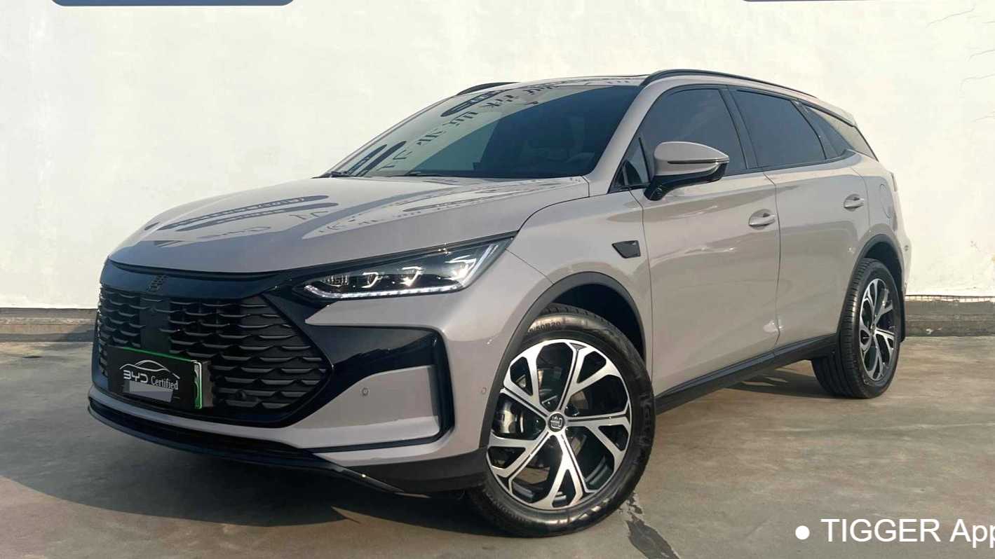 BYD Tang New Energy 2025 Intelligent Driving DM-i 115KM Prestige Edition