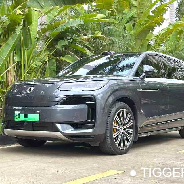 DENZA N9 2025 Prestige Edition سيارة مستعملة