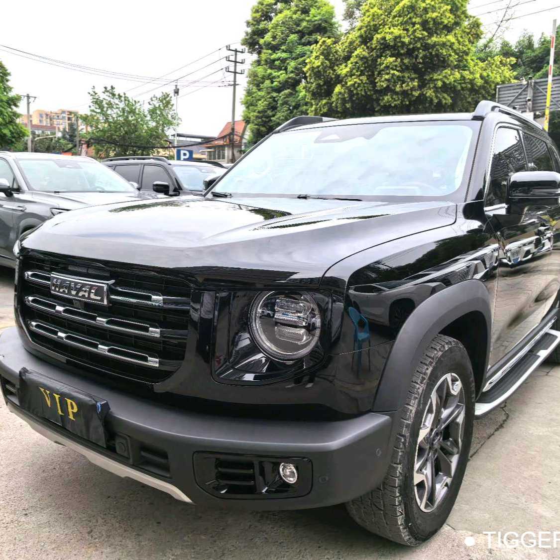 HAVAL DARGO 2022 2.0T DCT four-wheel drive Chinese Rural Dog Hunting Edition Used Car