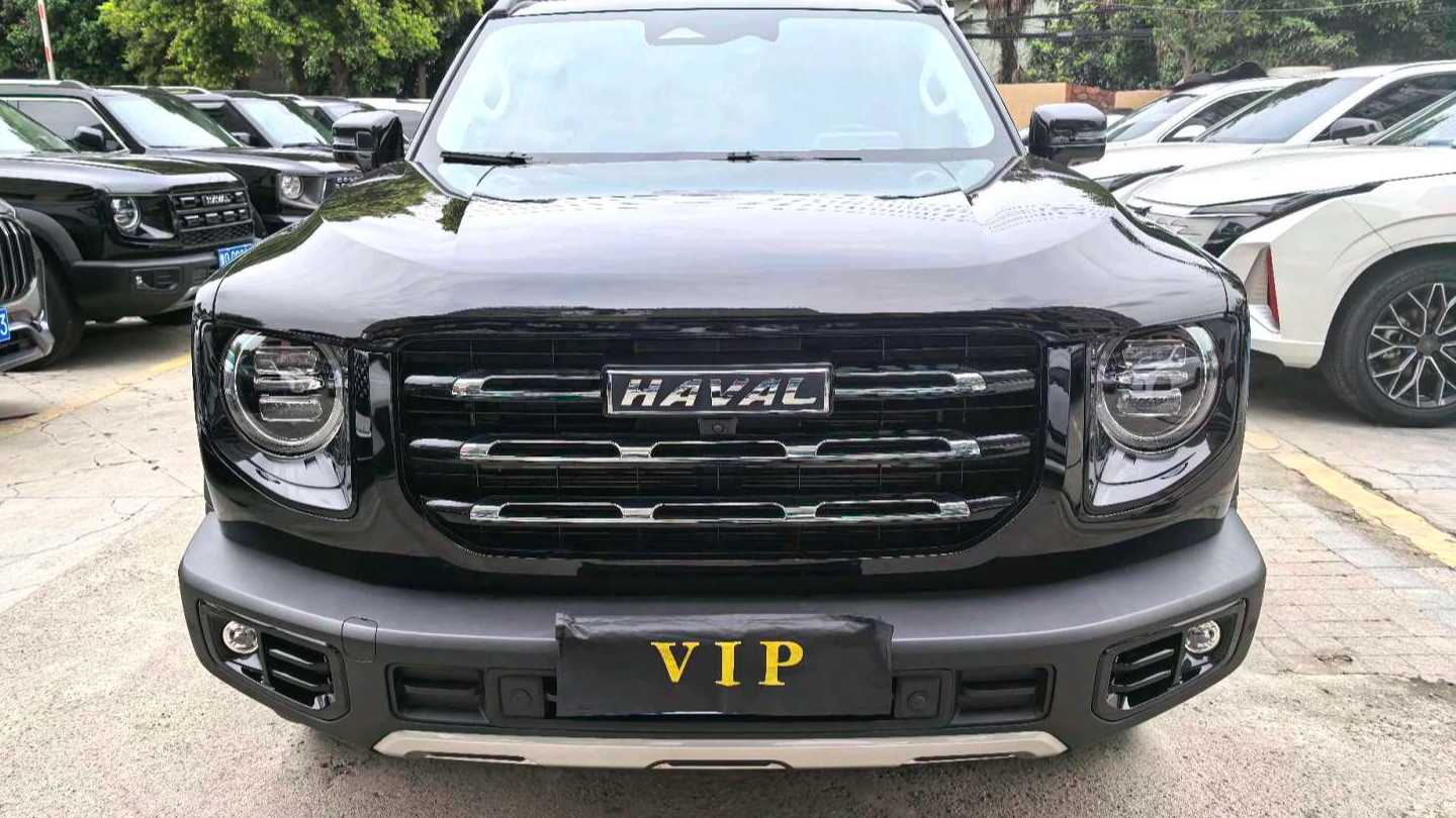 HAVAL DARGO 2022 2.0T DCT four-wheel drive Chinese Rural Dog Hunting Edition