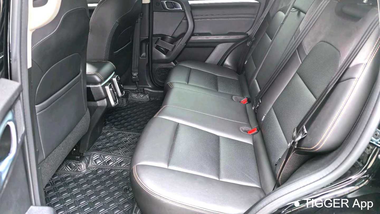 HAVAL DARGO 2022 2.0T DCT four-wheel drive Chinese Rural Dog Hunting Edition