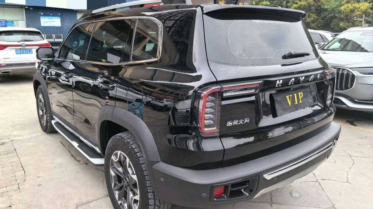 HAVAL DARGO 2022 2.0T DCT four-wheel drive Chinese Rural Dog Hunting Edition