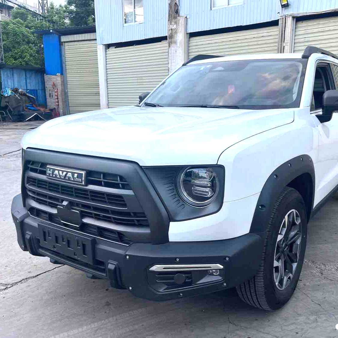 HAVAL DARGO 2024 2.0T DCT Chinese Rural Dog Edition Used Car