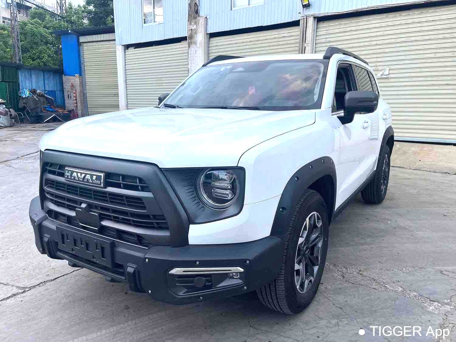 Used HAVAL DARGO 2024 2.0T DCT Chinese Rural Dog Edition