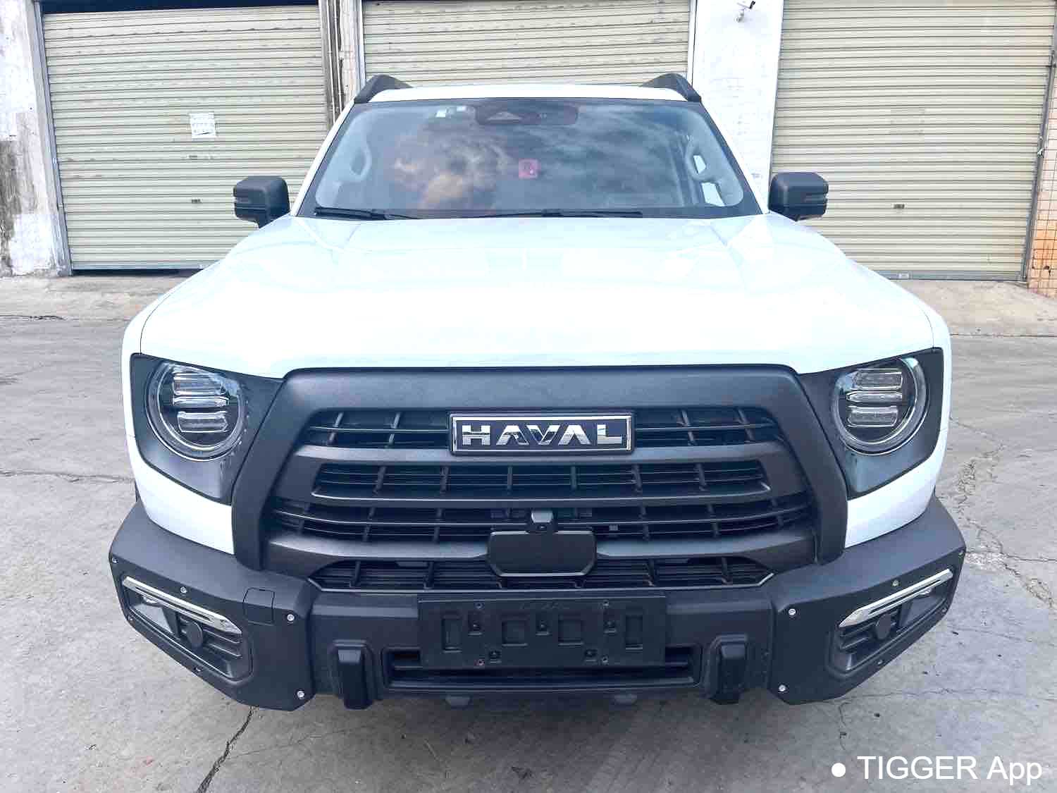 Used HAVAL DARGO 2024 2.0T DCT Chinese Rural Dog Edition