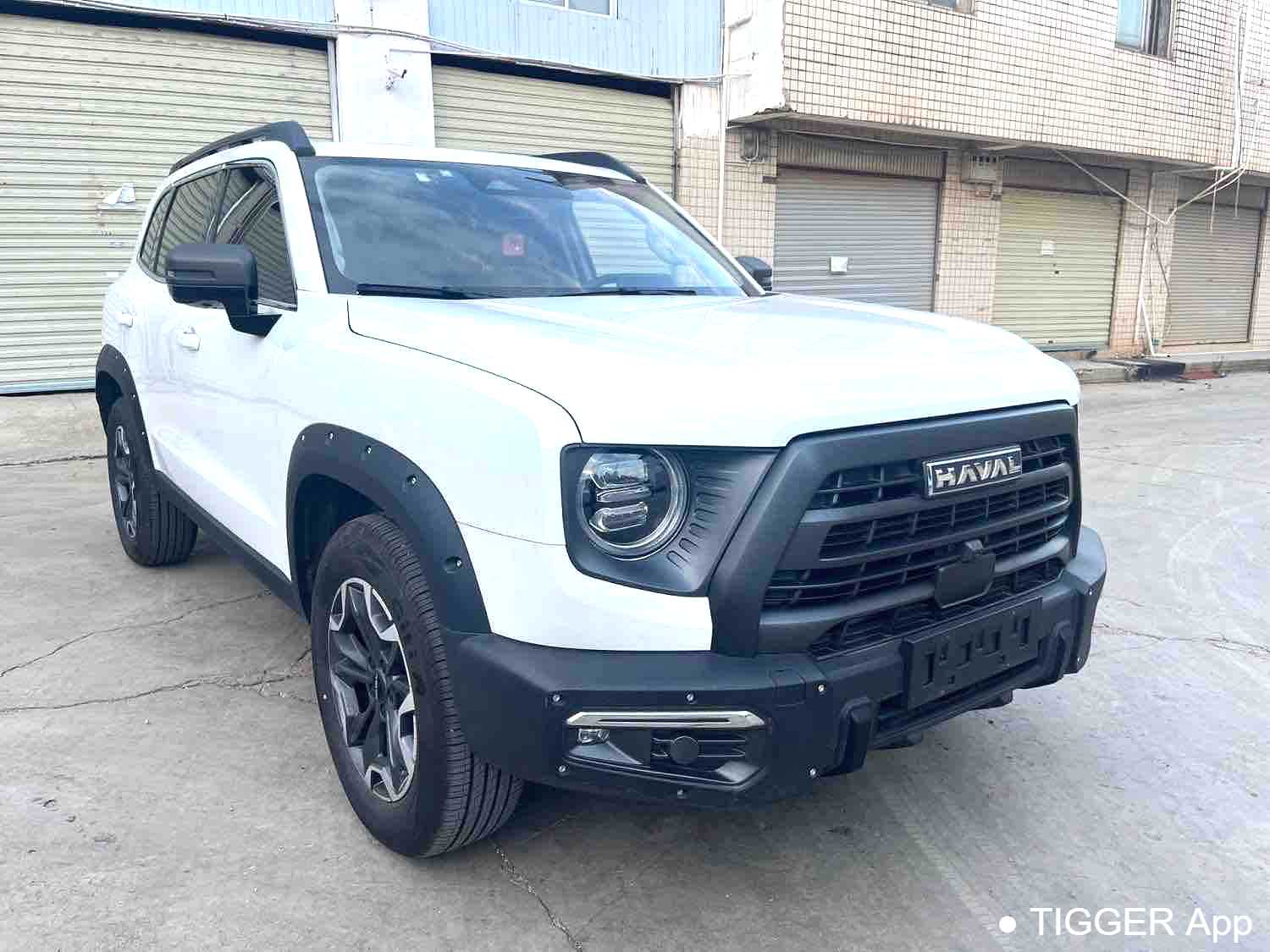 Used HAVAL DARGO 2024 2.0T DCT Chinese Rural Dog Edition