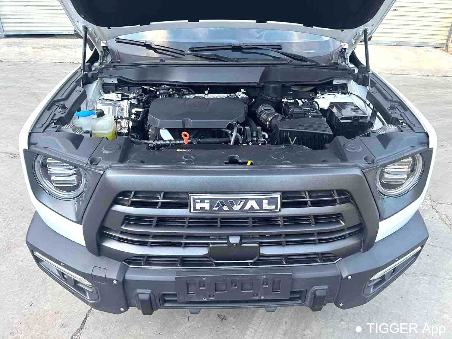 Used HAVAL DARGO 2024 2.0T DCT Chinese Rural Dog Edition