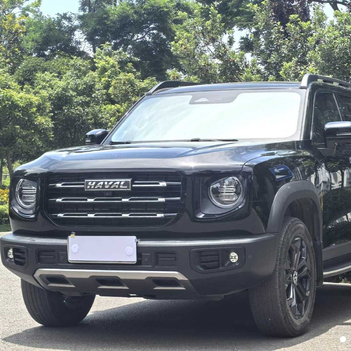 HAVAL DARGO 2022 1.5T DCT two wheel drive hunting version for horse dogs Used Car