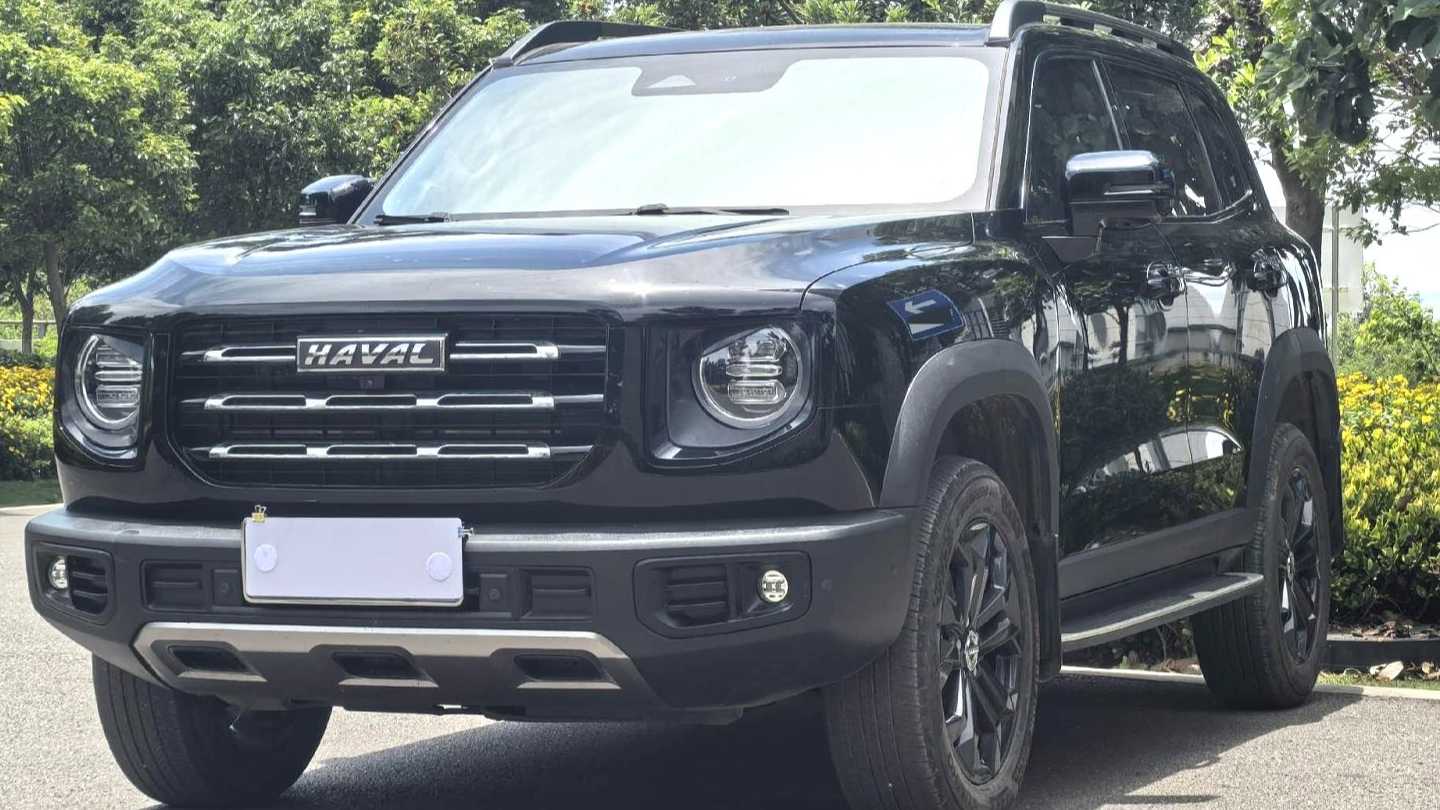 HAVAL DARGO 2022 1.5T DCT two wheel drive hunting version for horse dogs