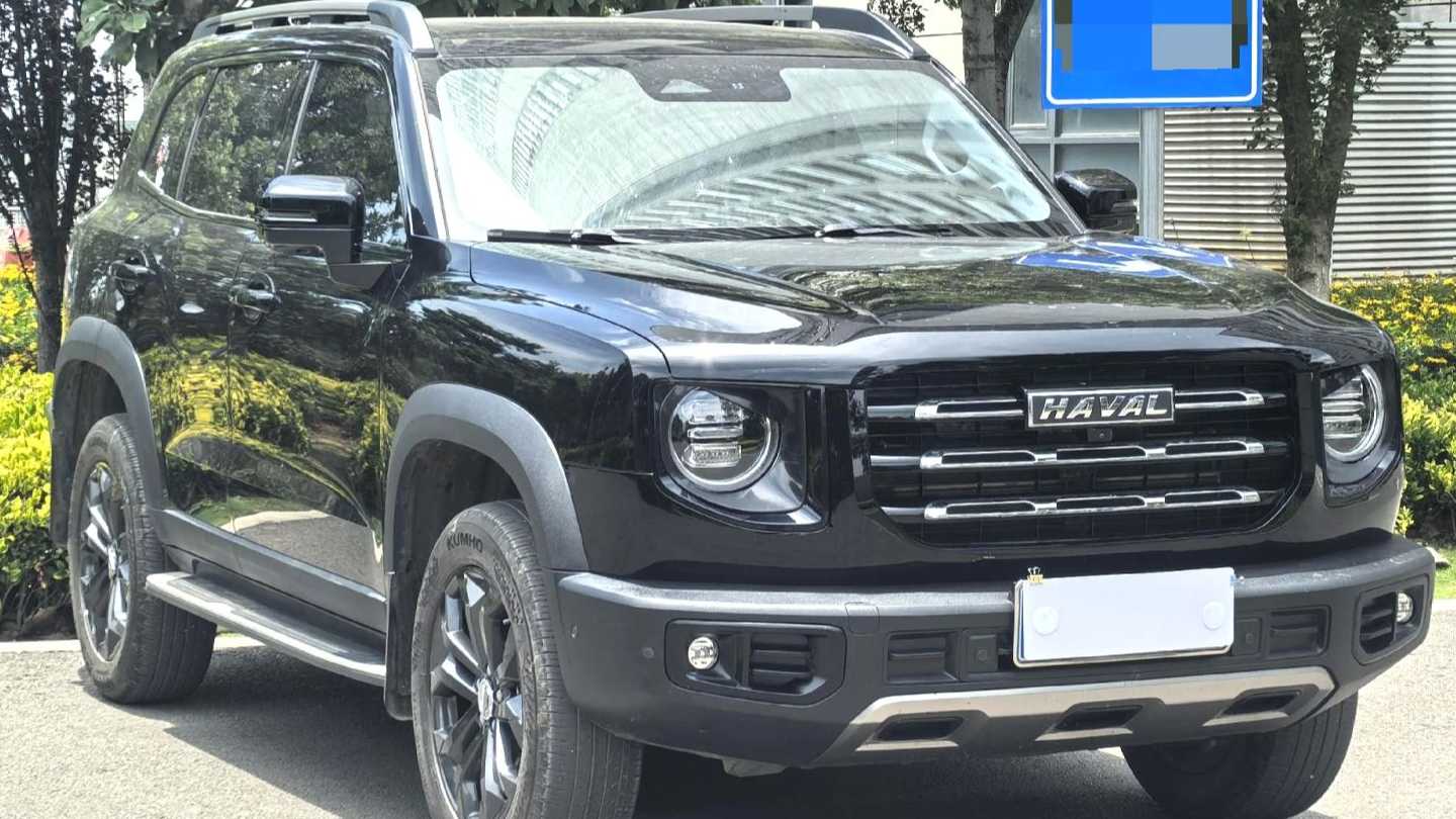 HAVAL DARGO 2022 1.5T DCT two wheel drive hunting version for horse dogs