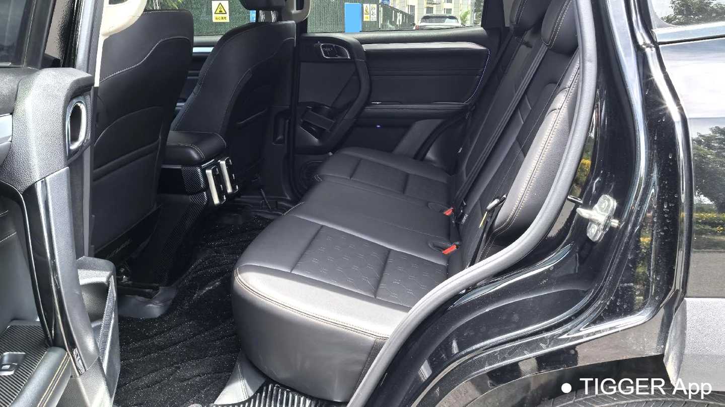 HAVAL DARGO 2022 1.5T DCT two wheel drive hunting version for horse dogs