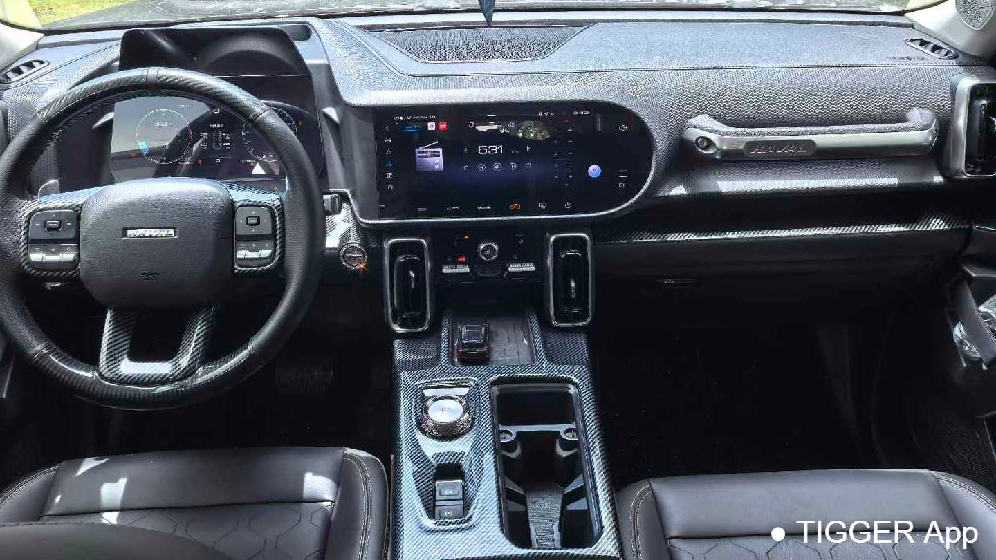 HAVAL DARGO 2022 1.5T DCT two wheel drive hunting version for horse dogs