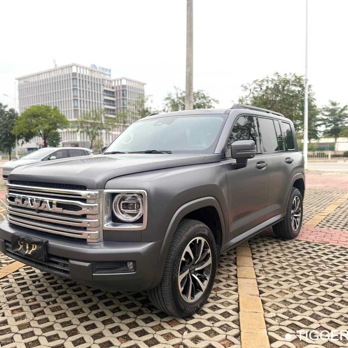 HAVAL H9 2024 2.0T gasoline four-wheel drive Extreme Edition Used Car