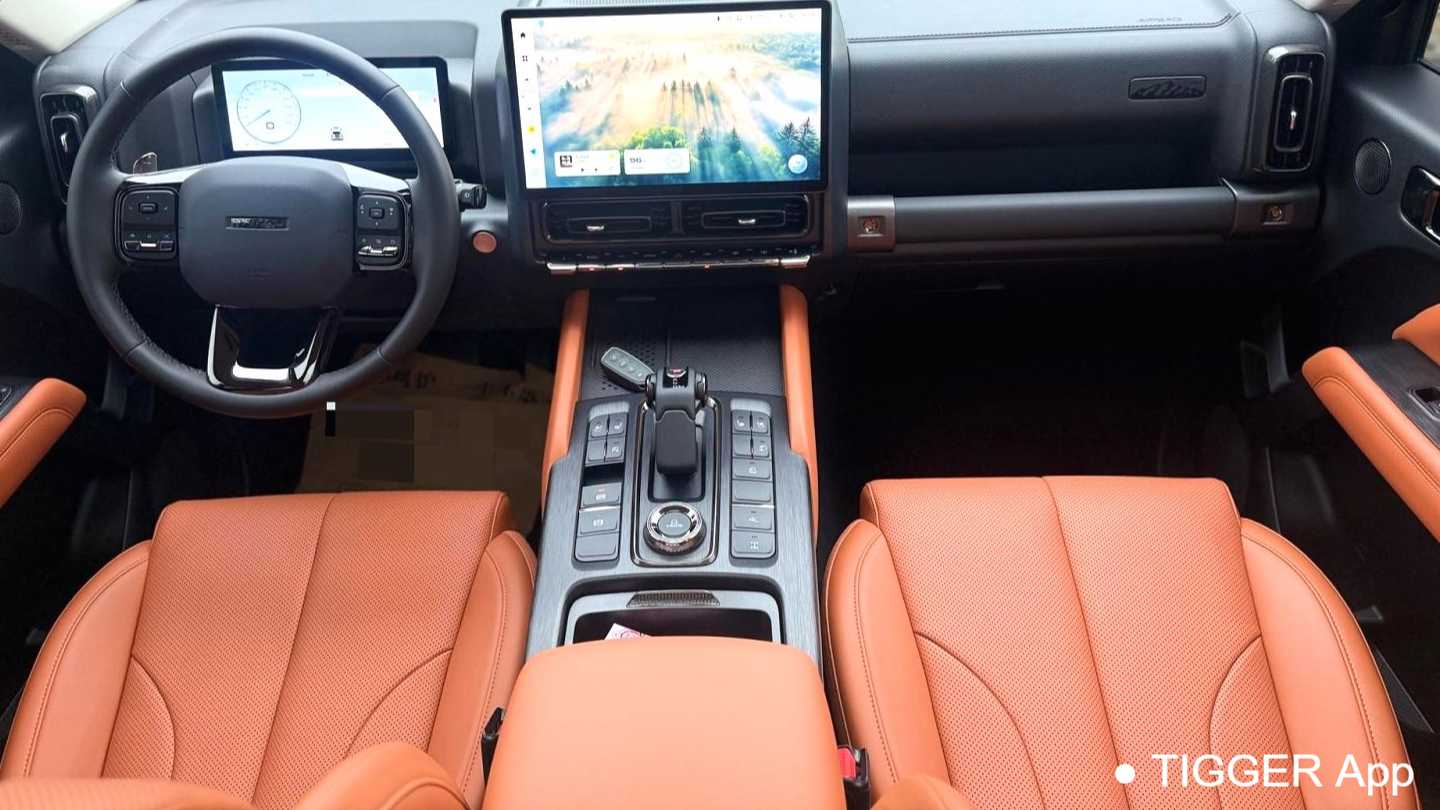 HAVAL H9 2024 2.0T gasoline four-wheel drive Extreme Edition