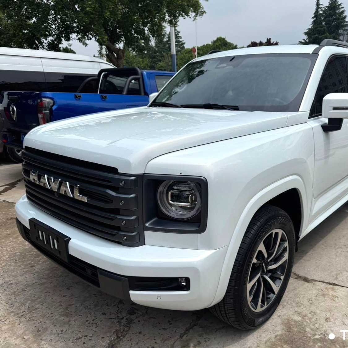 HAVAL H9 2024 2.4T diesel four-wheel drive Extreme Edition Used Car