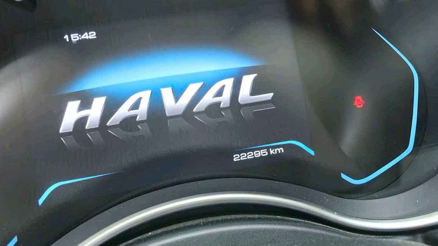 HAVAL H9 2022 2.0T gasoline four-wheel drive luxury 5-seater
