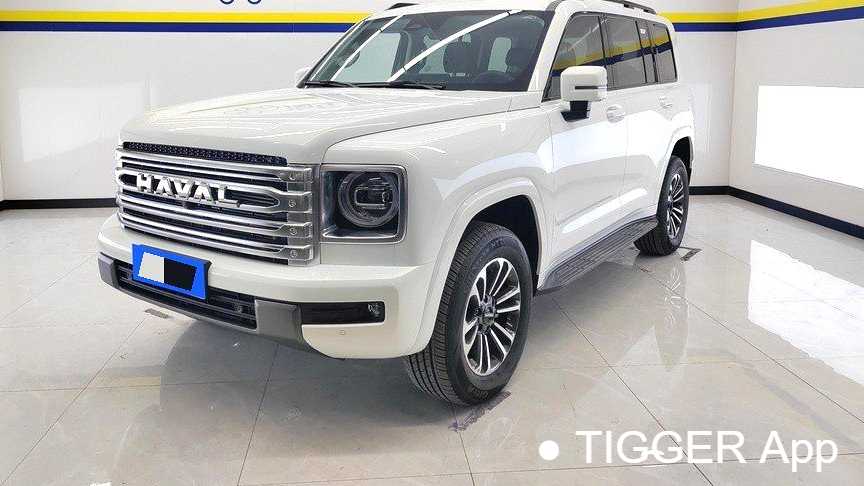 HAVAL H9 2024 2.0T gasoline four-wheel drive expansion version