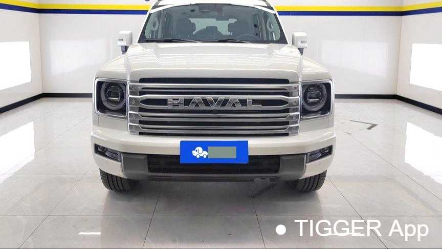 HAVAL H9 2024 2.0T gasoline four-wheel drive expansion version