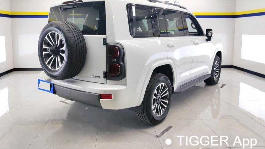 HAVAL H9 2024 2.0T gasoline four-wheel drive expansion version
