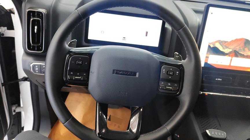 HAVAL H9 2024 2.0T gasoline four-wheel drive expansion version