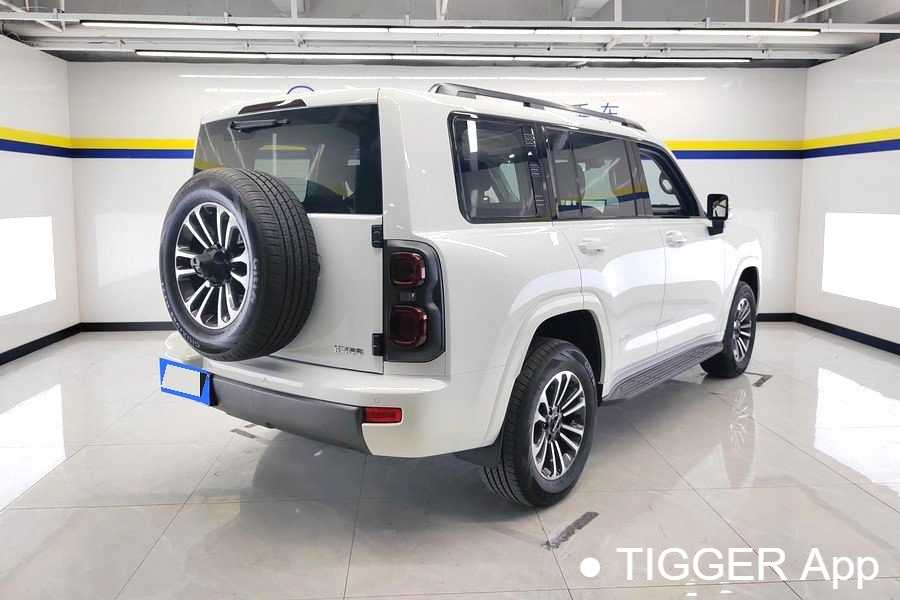 Used HAVAL H9 2024 2.0T gasoline four-wheel drive expansion version
