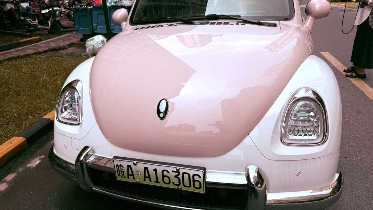 ORA Ballet Cat 2023 401km Luxury Type