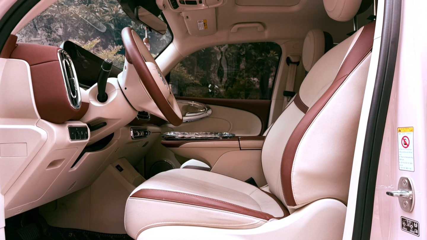 ORA Ballet Cat 2023 401km Luxury Type