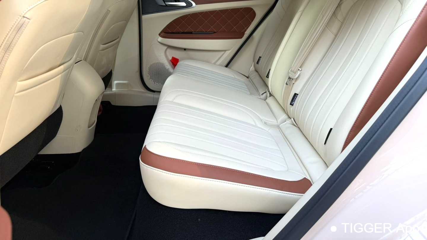ORA Ora 03 2024 401km Luxury Model
