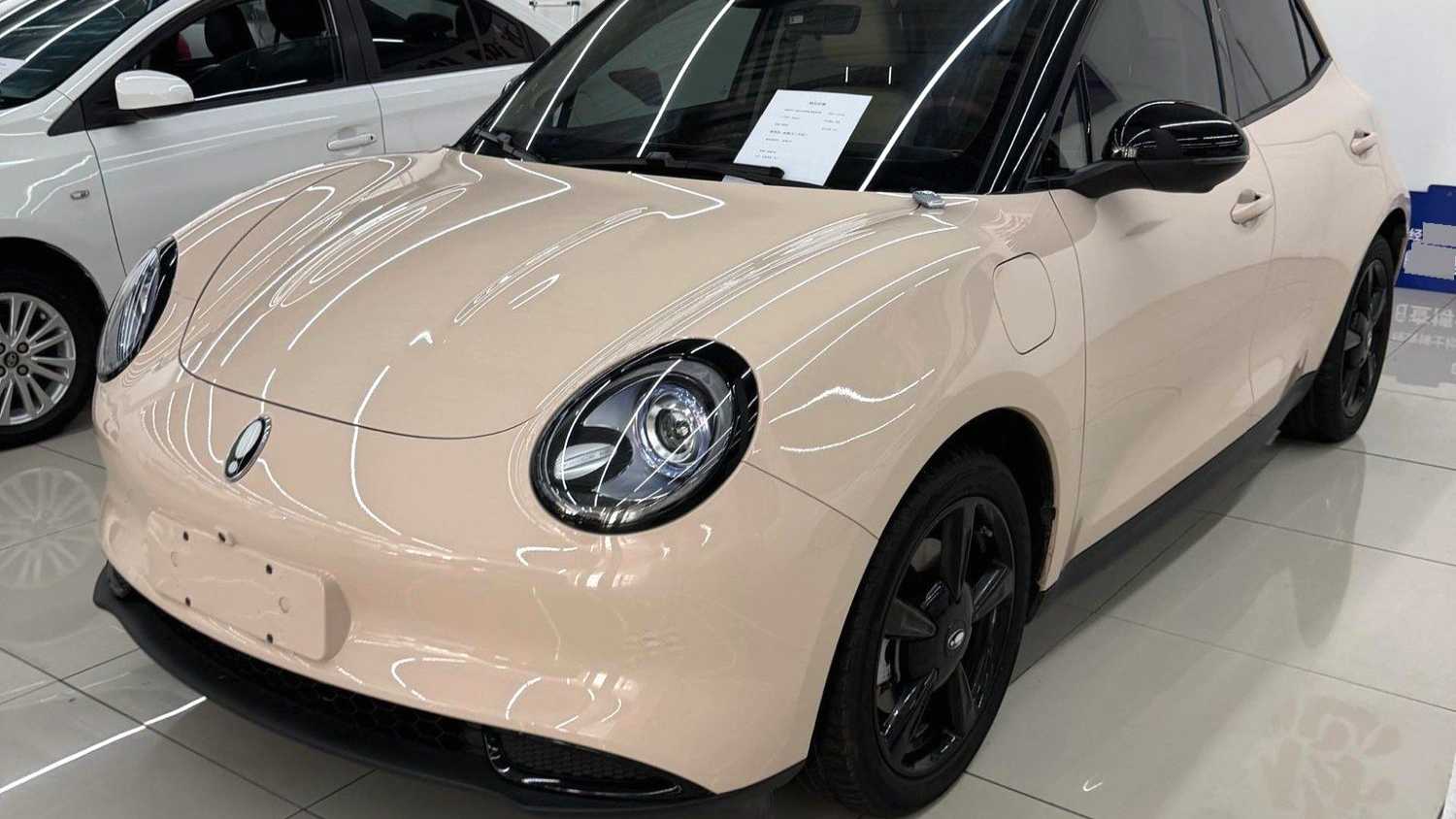 ORA Ora 03 2023 401km standard range luxury ternary lithium