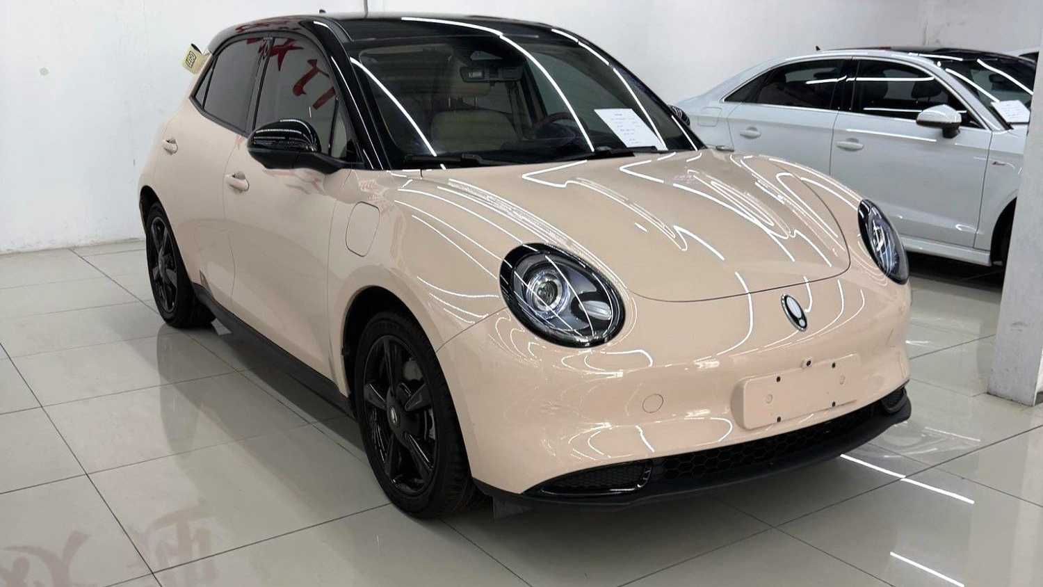 ORA Ora 03 2023 401km standard range luxury ternary lithium