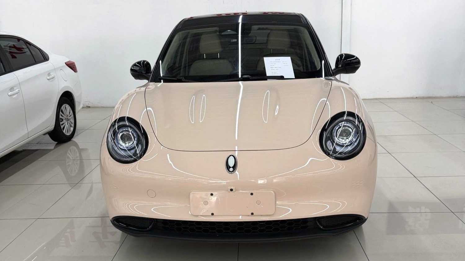 ORA Ora 03 2023 401km standard range luxury ternary lithium