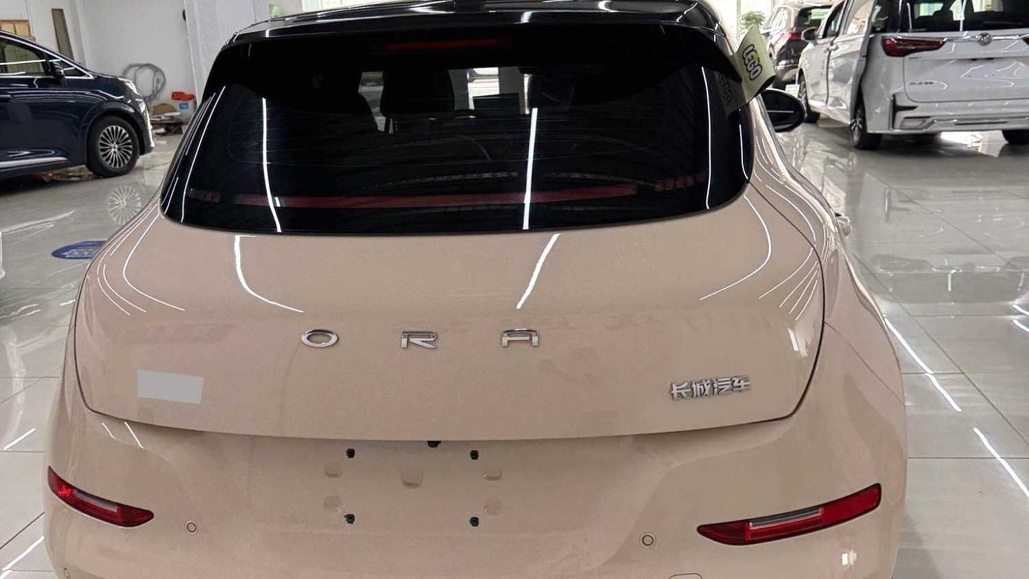 ORA Ora 03 2023 401km standard range luxury ternary lithium