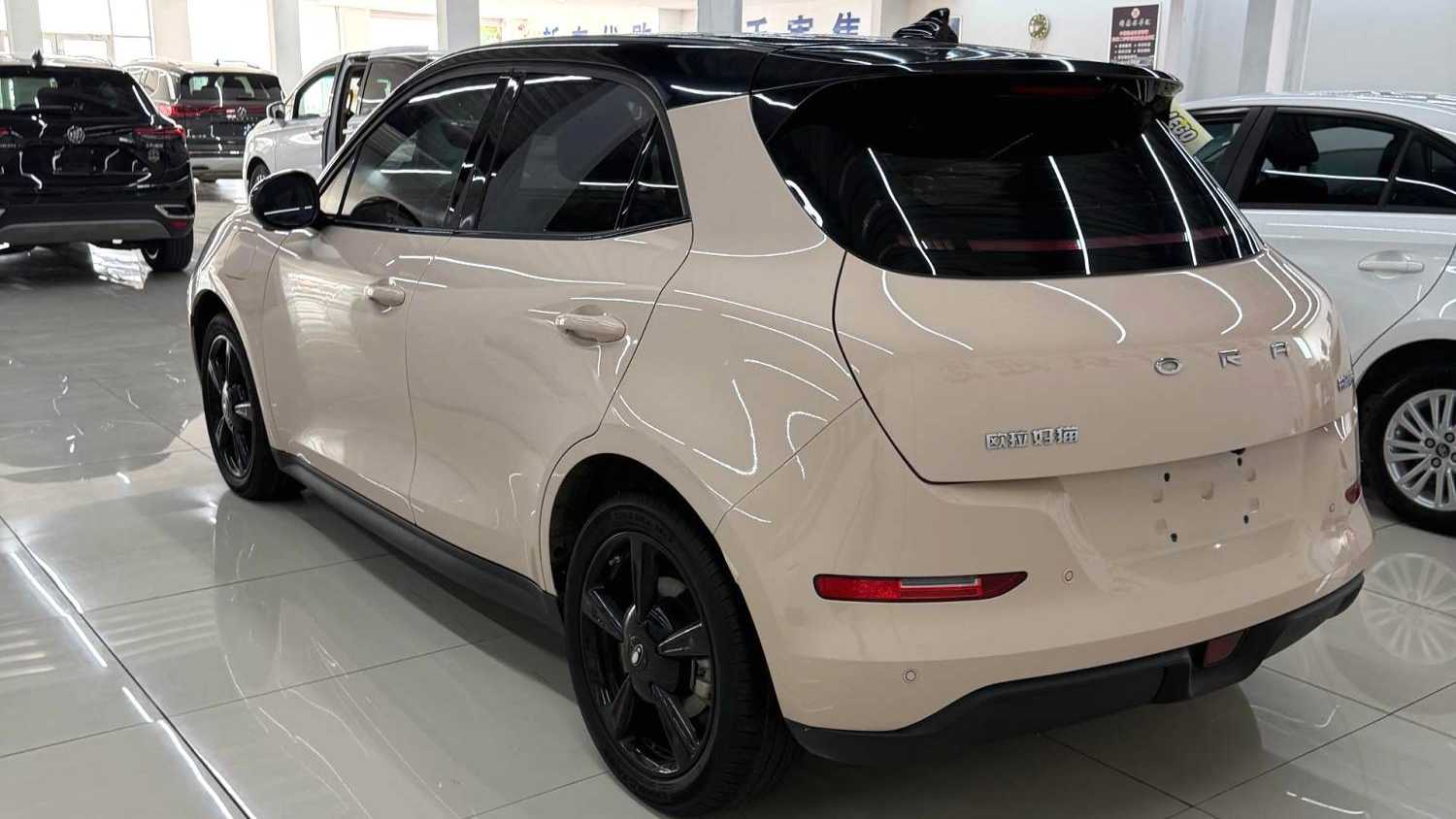 ORA Ora 03 2023 401km standard range luxury ternary lithium