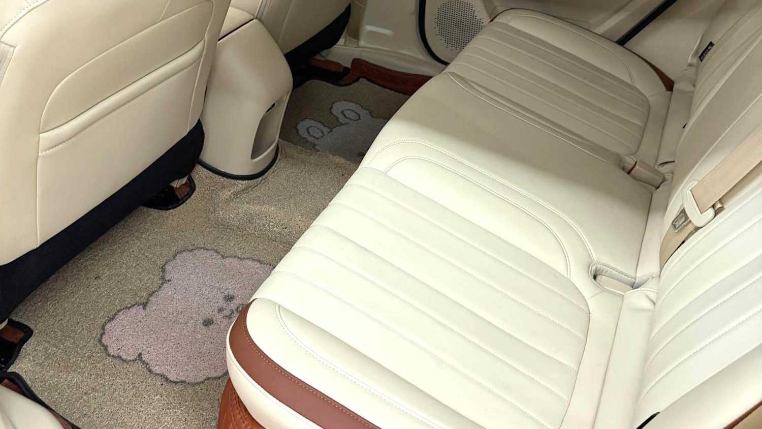 ORA Ora 03 2023 401km standard range luxury ternary lithium