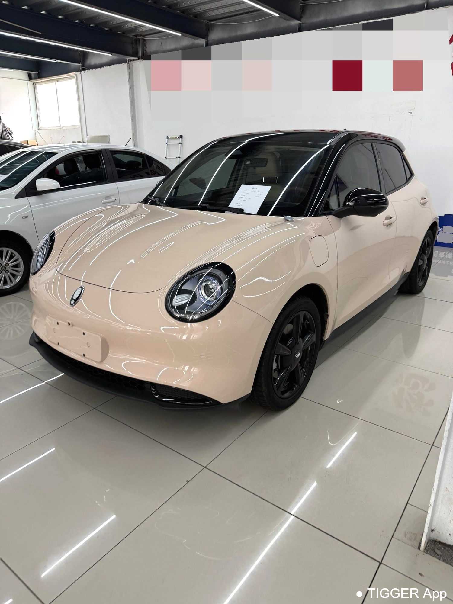 Used ORA Ora 03 2023 401km standard range luxury ternary lithium