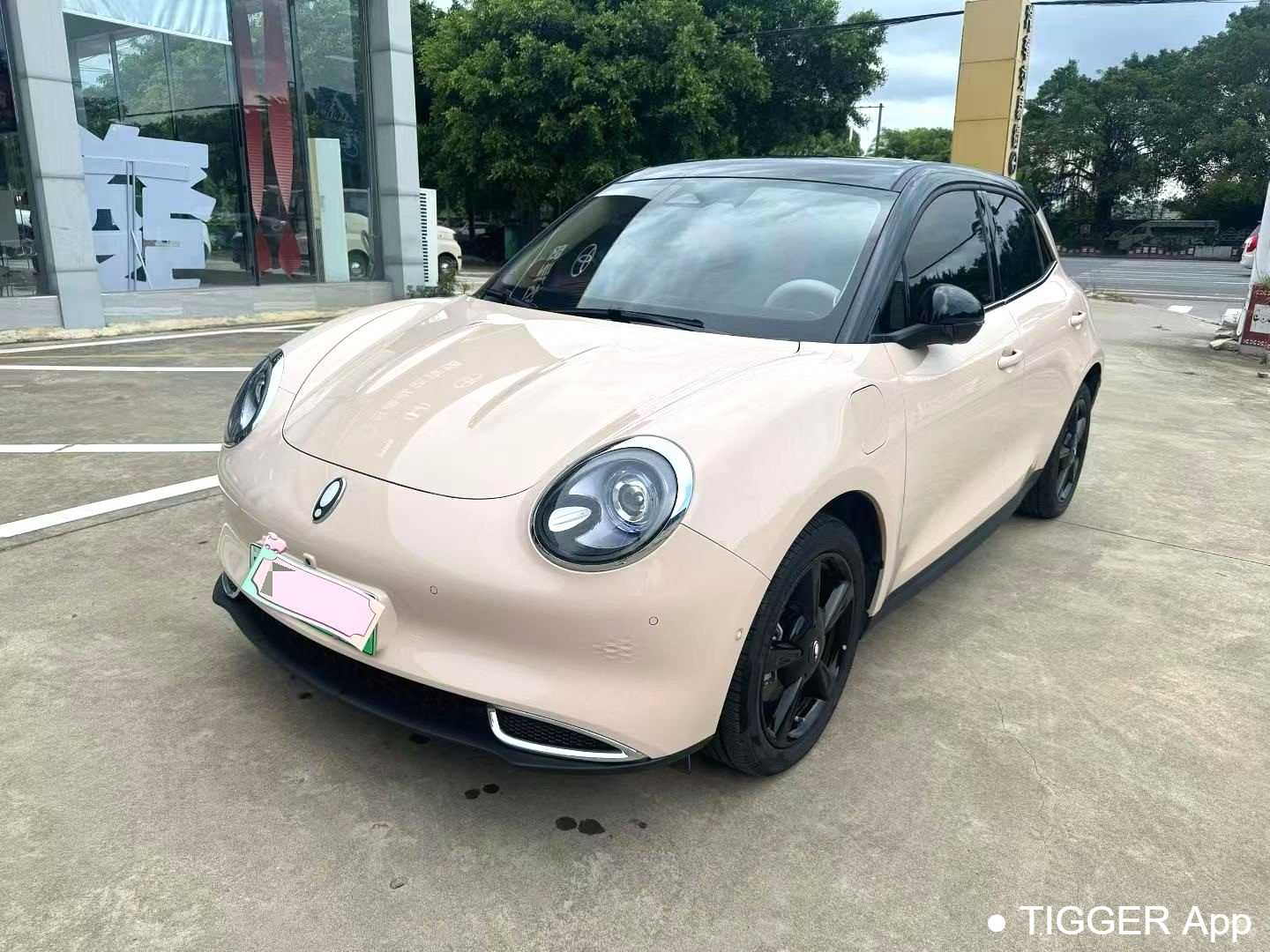 Used ORA Ora 03 2024 401km Honor Type 126kW