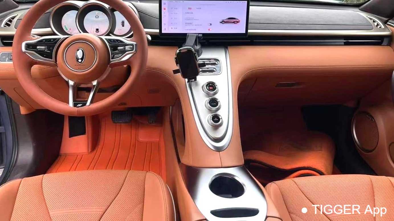 ORA Ora 07 2022 555km Premium Edition
