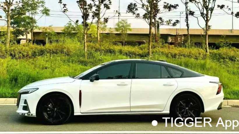Hong Qi H6 2023 2.0T Zhishang Edition