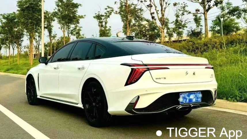Hong Qi H6 2023 2.0T Zhishang Edition