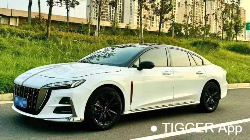 Hong Qi H6 2023 2.0T Zhishang Edition