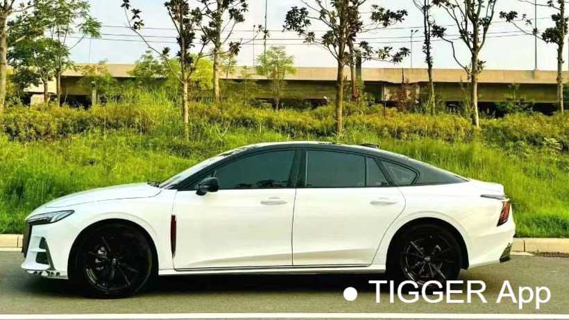 Hong Qi H6 2023 2.0T Zhishang Edition