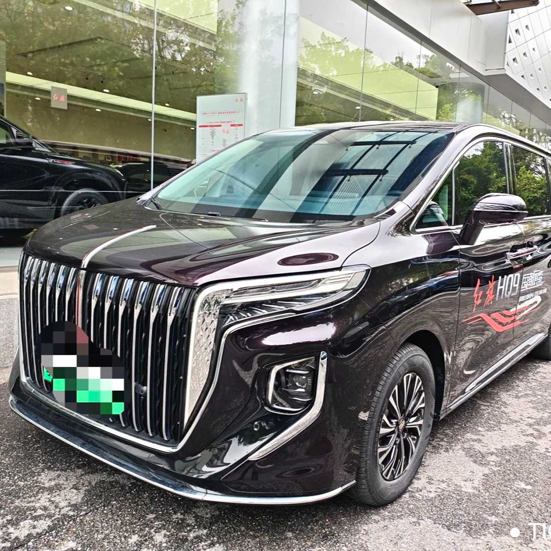 Hong Qi HQ9 2024 2.0T 4WD Luxury Edition Used Car