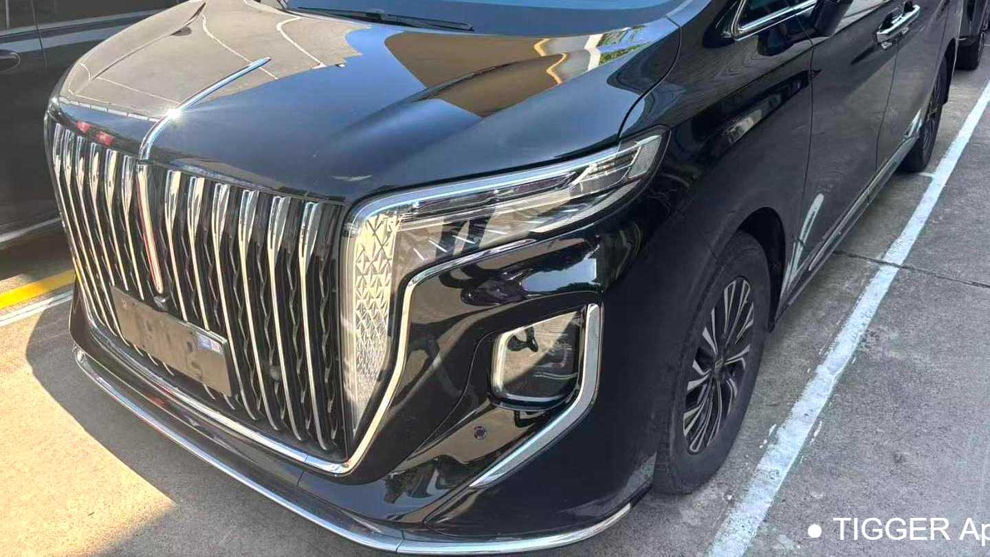 Hong Qi HQ9 2024 2.0T 4WD Luxury Edition