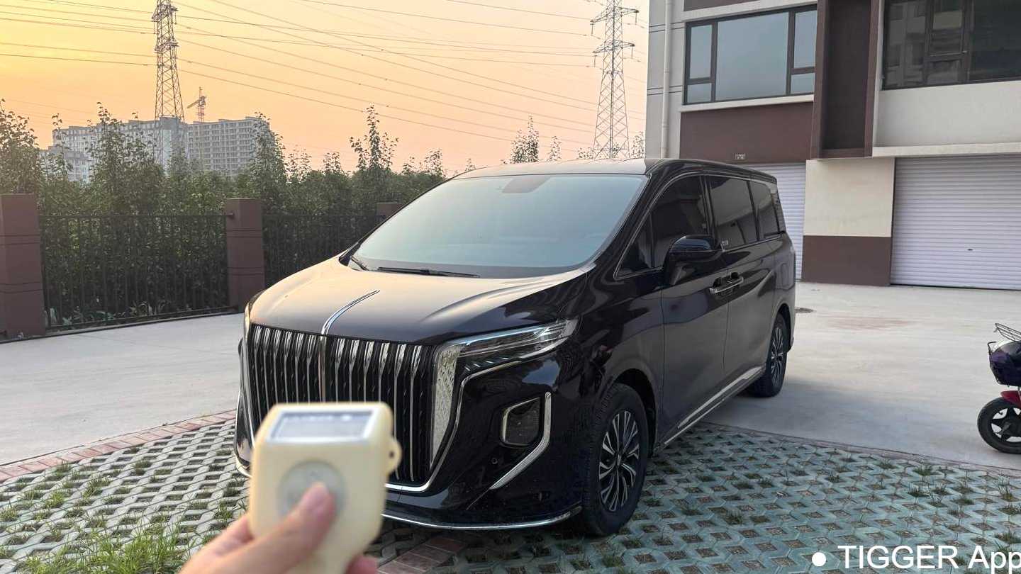 Hong Qi HQ9 2024 2.0T 4WD Business Edition