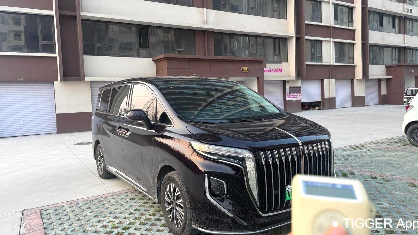 Hong Qi HQ9 2024 2.0T 4WD Business Edition