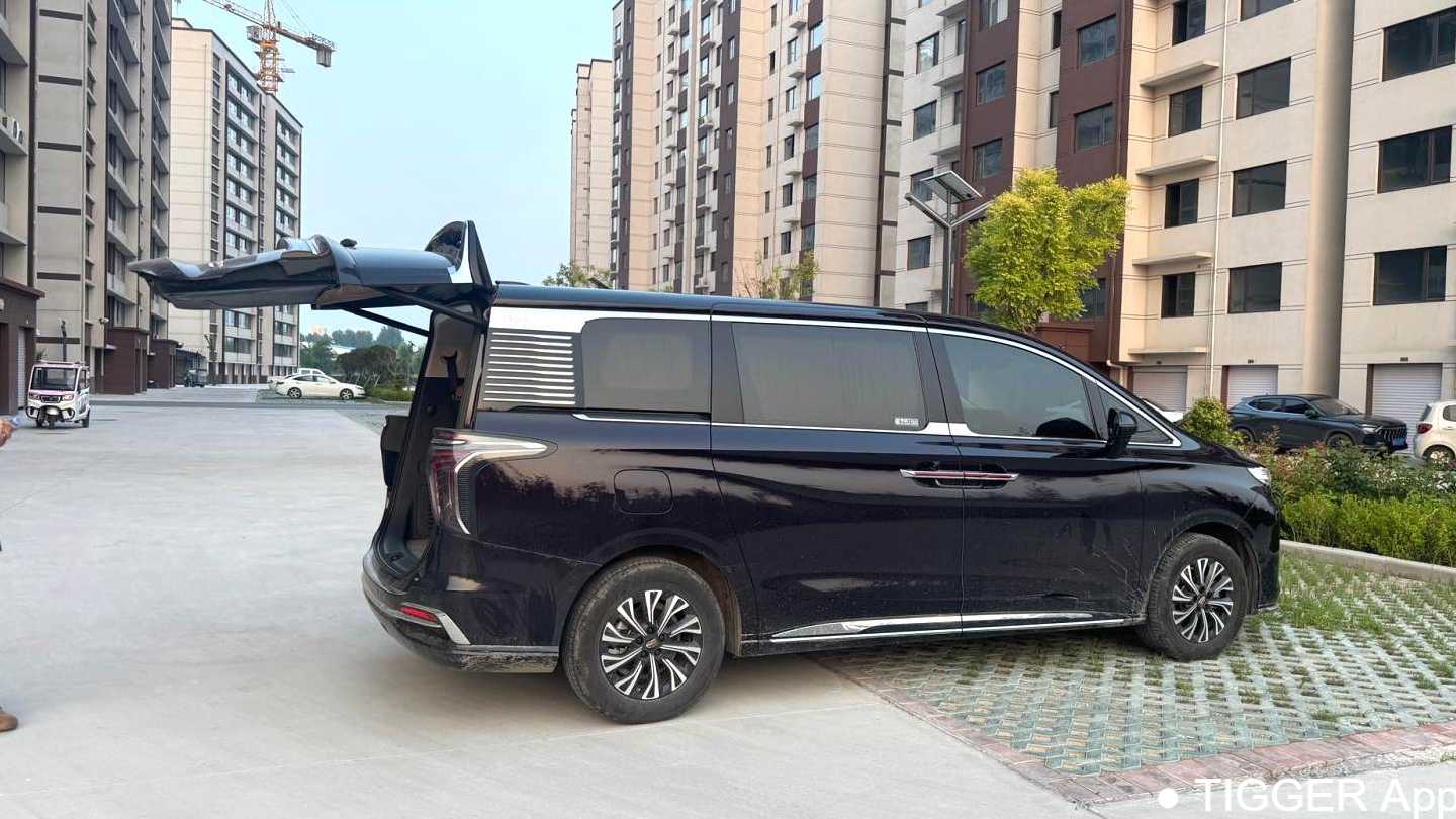 Hong Qi HQ9 2024 2.0T 4WD Business Edition