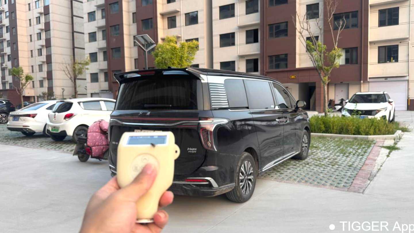 Hong Qi HQ9 2024 2.0T 4WD Business Edition
