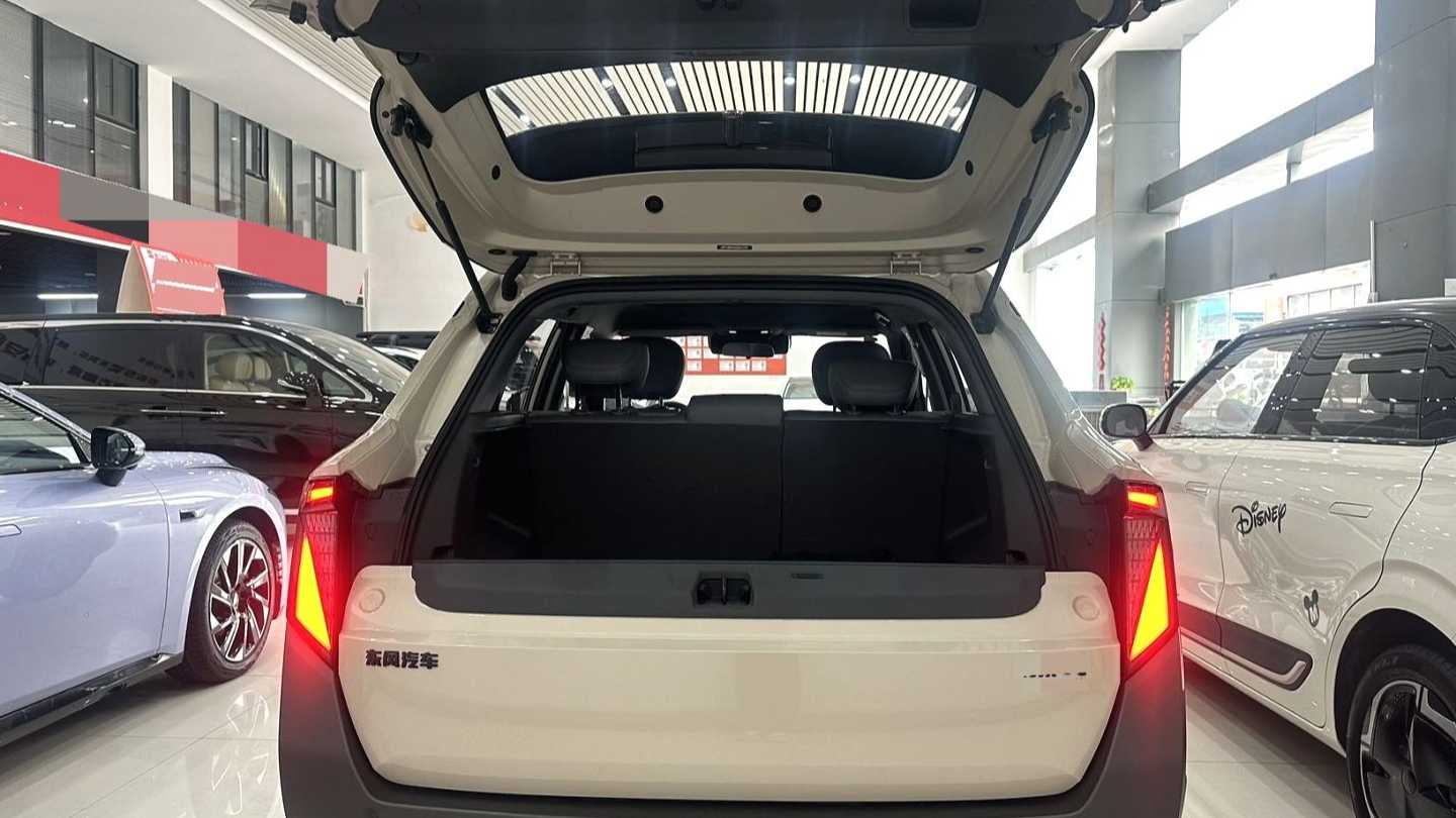 DONGFENG NAMMI‌ 06 2025 471 Pro