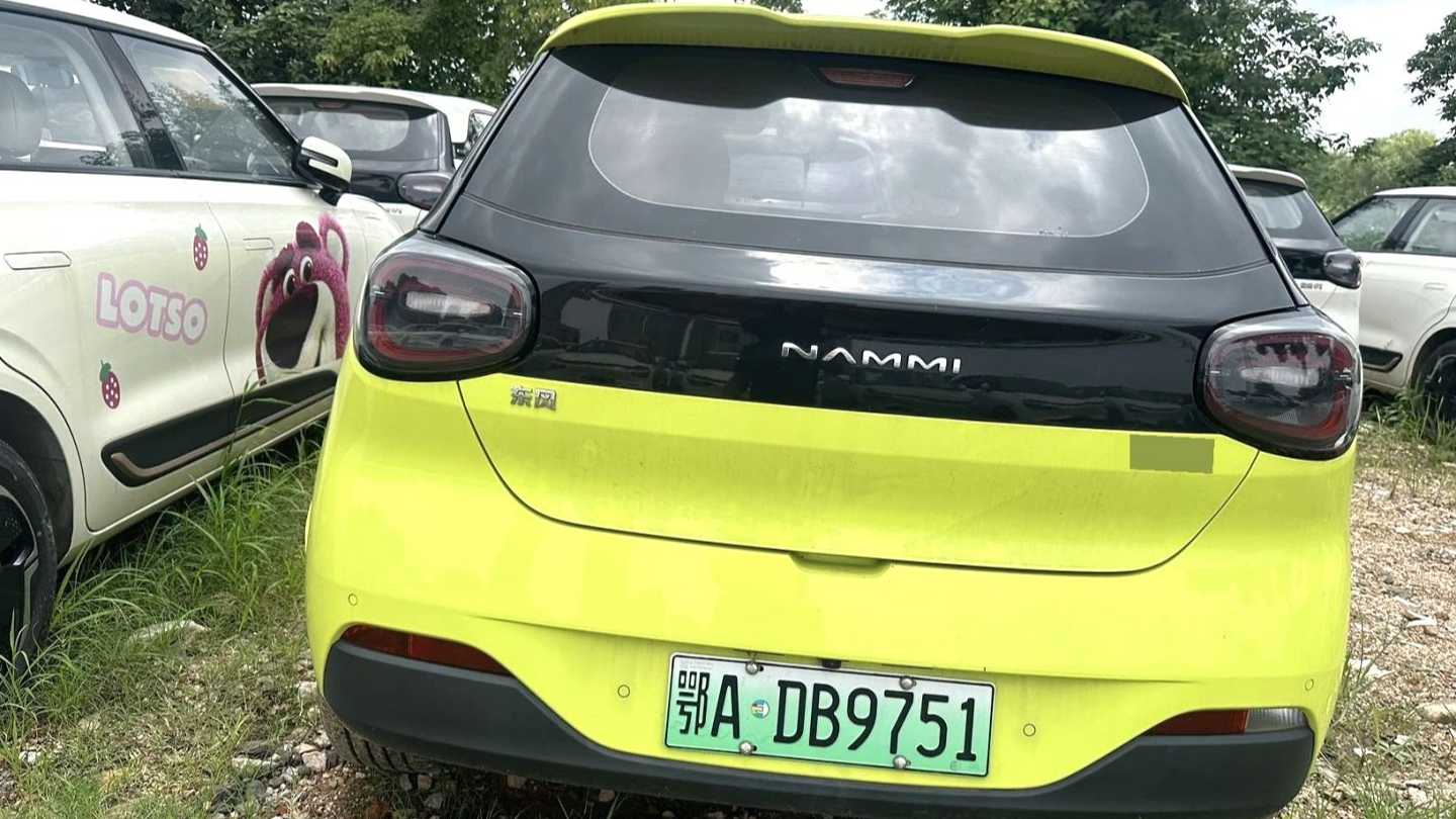 DONGFENG NAMMI‌ 01 2024 430 Max Intelligence+